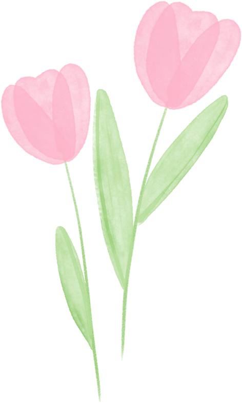 watercolor pink tulips